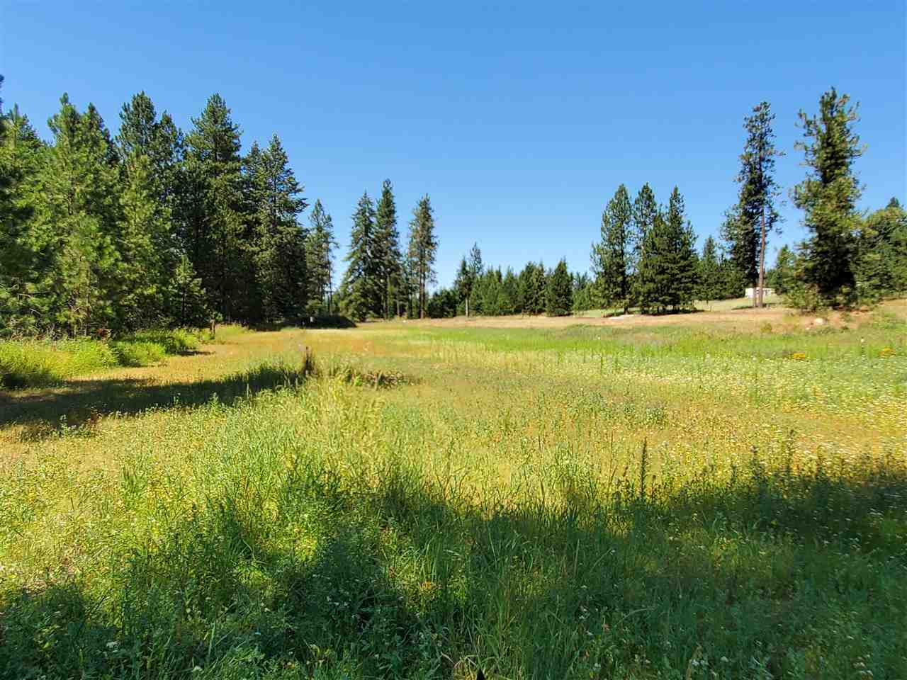 30115 North Milan Road Chattaroy, WA 99003 - Photo 6 of 35