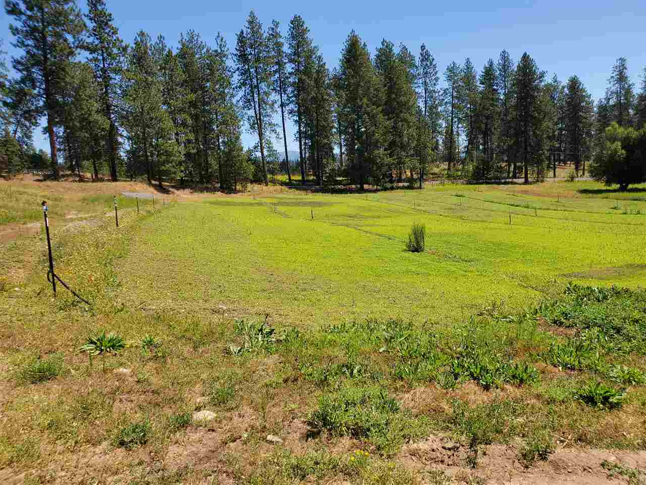 30115 North Milan Road Chattaroy, WA 99003 - Photo 9 of 35