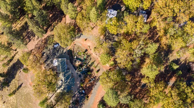 a house is sitting in middle of tall trees