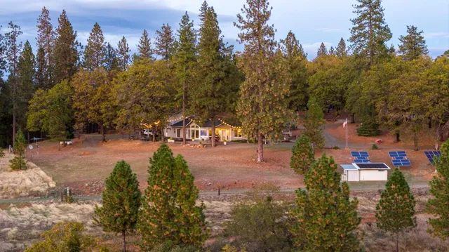 a view of a yard with a trees
