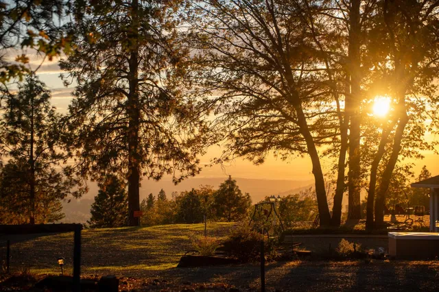 a view of outdoor space with trees
