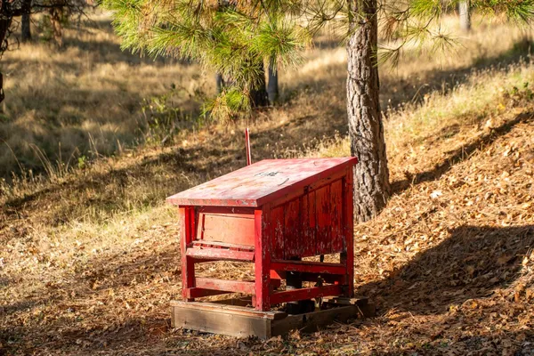 a view of a house with a tree tree front of it