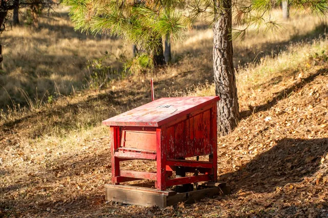 a view of a house with a tree tree front of it