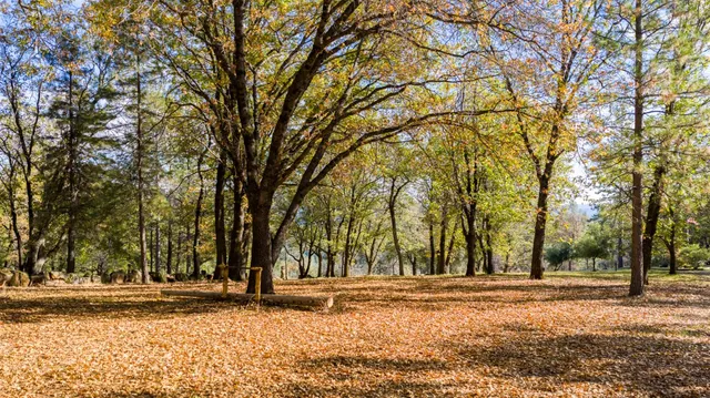 a view of a house with a tree and a yard