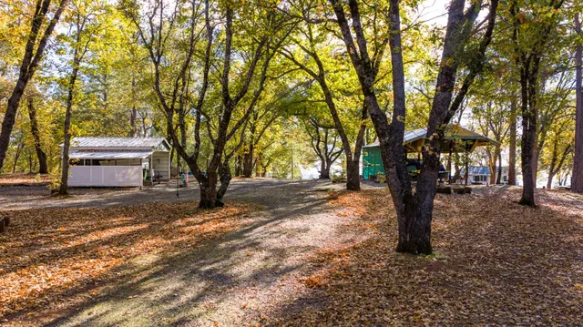 a house with trees in front of it