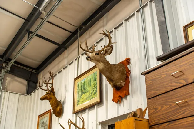 a view of a house with backyard and tree