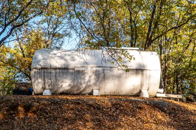 a view of a yard with large trees