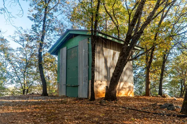 a view of a large body of water with a large tree