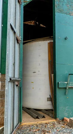 a view of a backyard with large trees