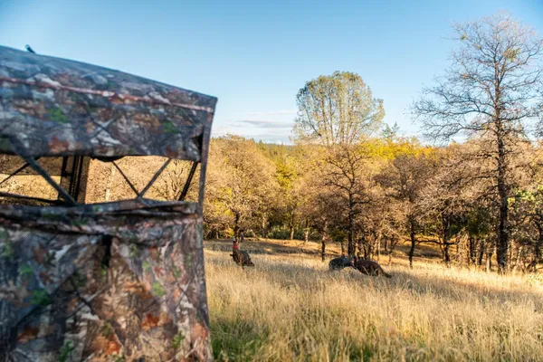 a view of a city with mountains in the background