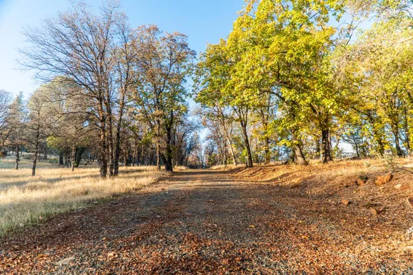 a view of city and mountain