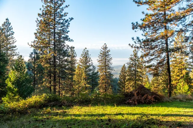 $1,749,000 | 14990 Willow Glen Road, Rackerby, CA 95972