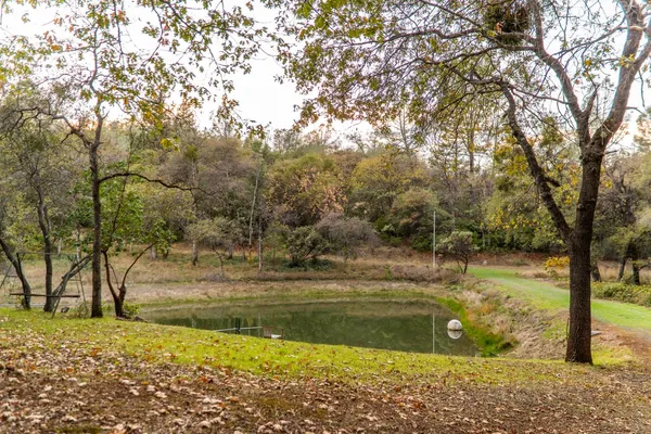 $1,749,000 | 14990 Willow Glen Road, Rackerby, CA 95972