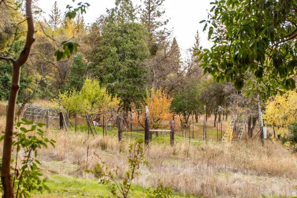 $1,749,000 | 14990 Willow Glen Road, Rackerby, CA 95972