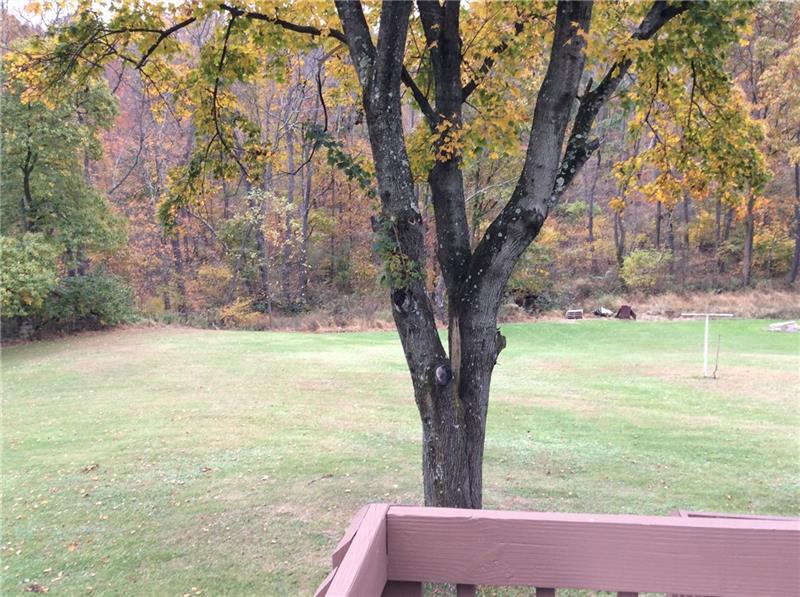 441 Parkwood Road Indiana, PA 15701 - Photo 12 of 14 Back yard view from deck