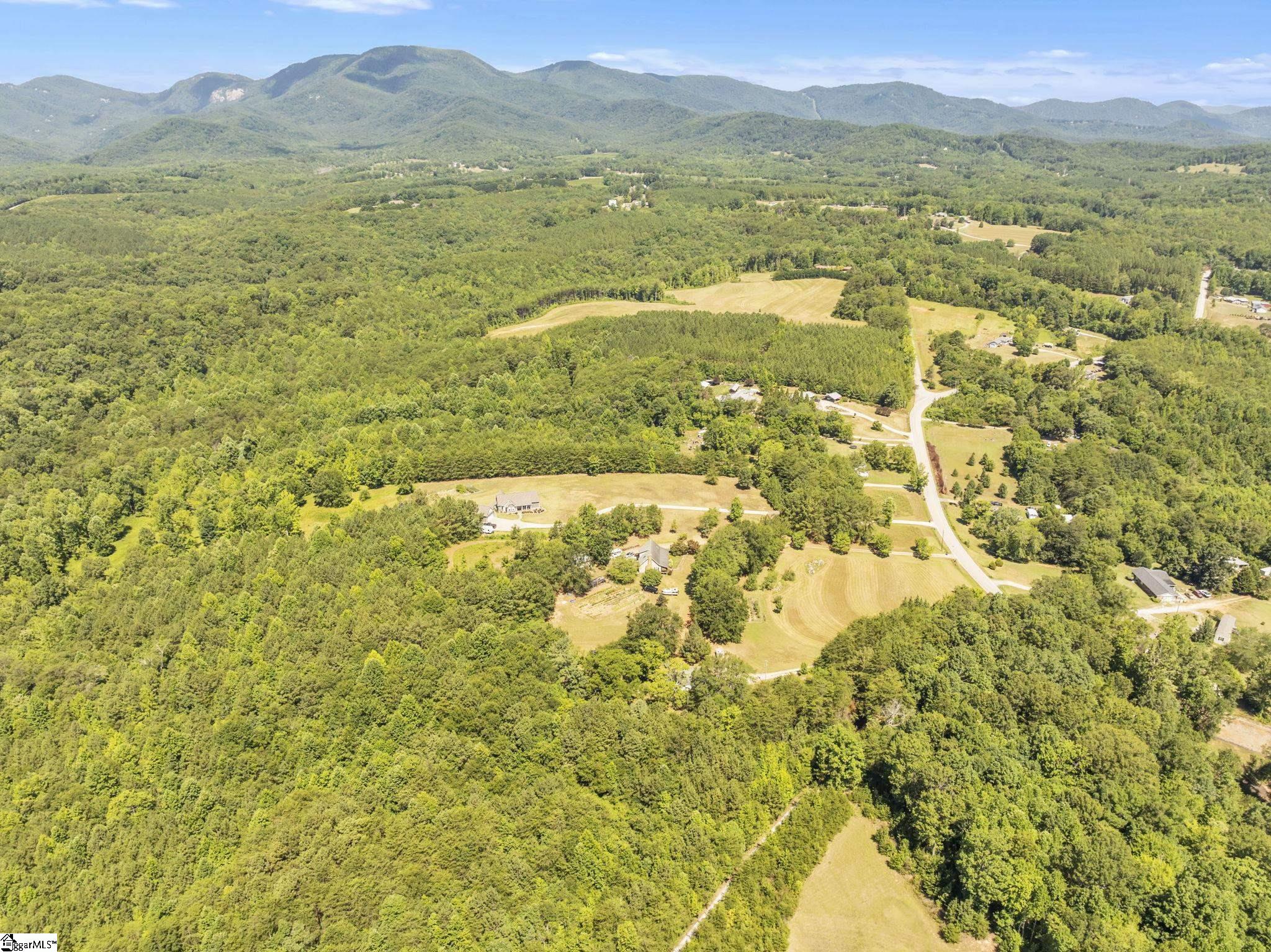 305 Belue Mill Road Landrum, SC 29356 - Photo 5 of 39