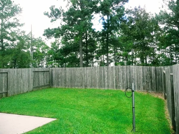 a view of a back yard
