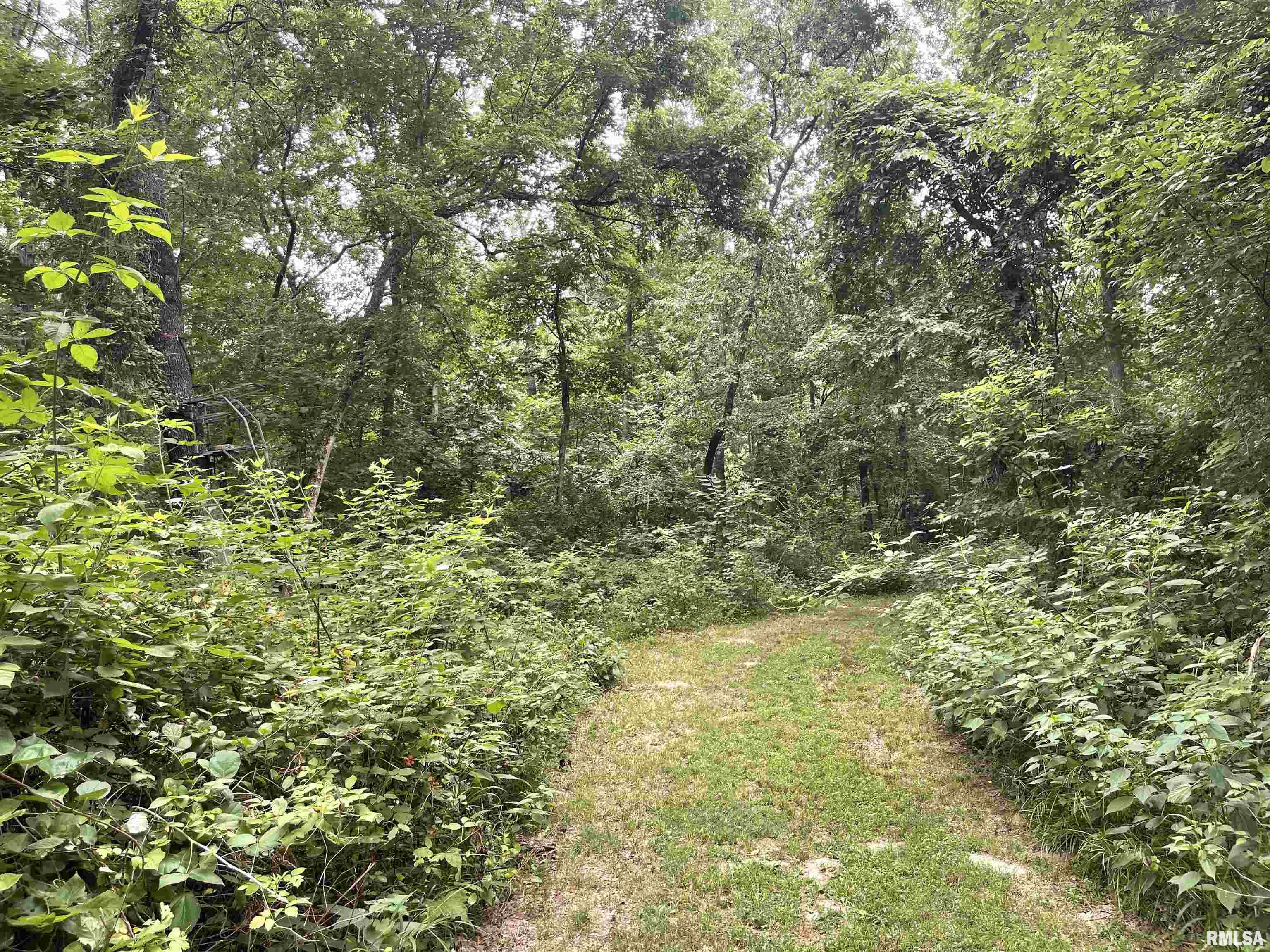 15795 Corinth Road Marion, IL 62959 - Photo 15 of 42