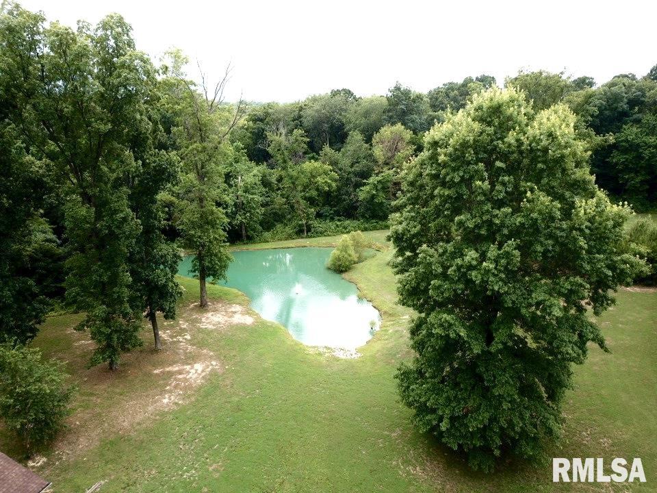 15795 Corinth Road Marion, IL 62959 - Photo 6 of 42