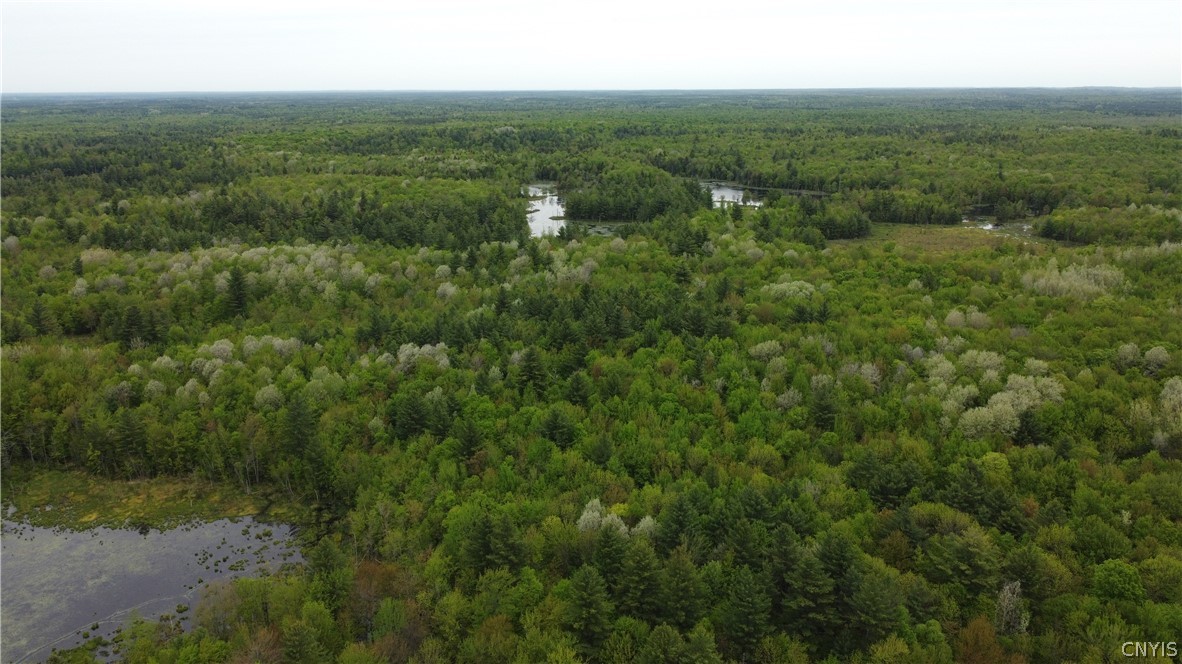 0 Cotton Road Carthage, NY 13619 - Photo 17 of 48