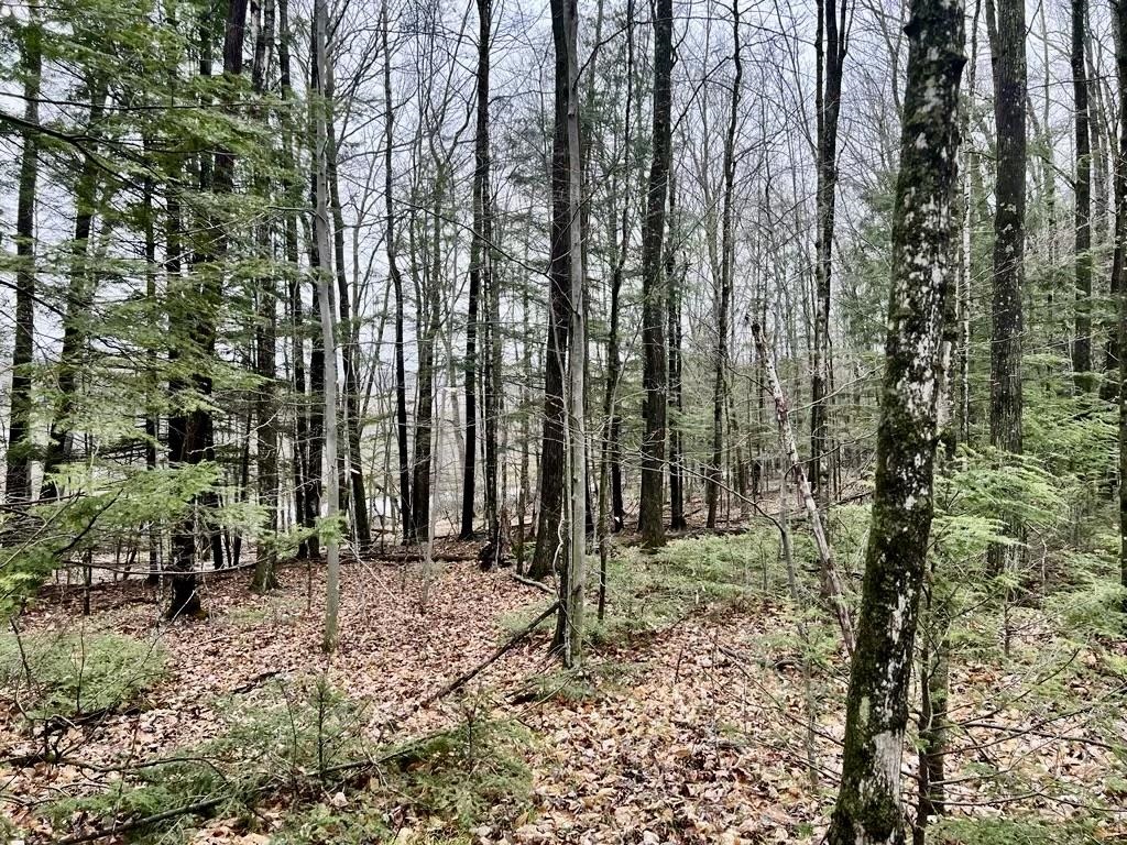 Creek Road, Unit 3 Wausaukee, WI 54177 - Photo 1 of 1 Gallery Image 1