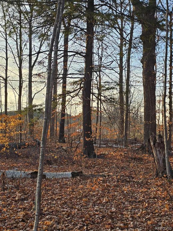 0 North Lakeshore Road Port Sanilac, MI 48469 - Photo 2 of 9