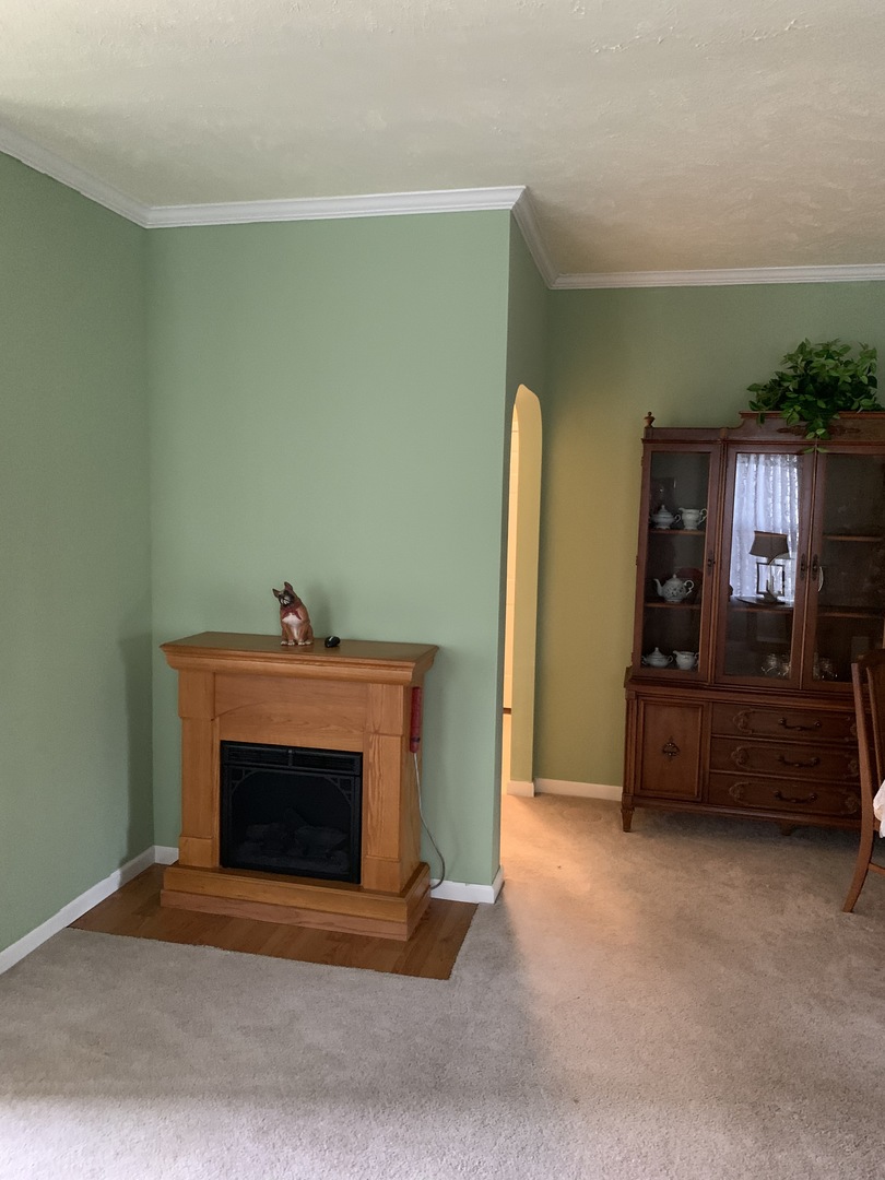 247 Northshore Road Elgin, IL 60123 - Photo 6 of 30