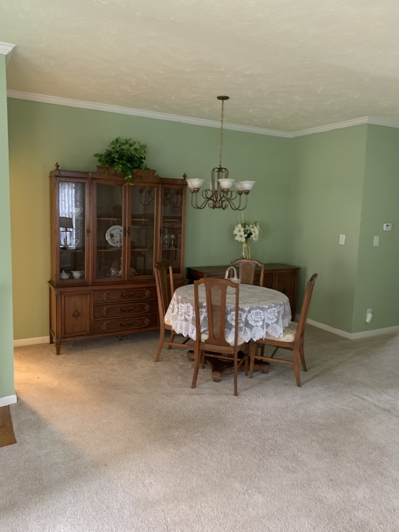 247 Northshore Road Elgin, IL 60123 - Photo 7 of 30