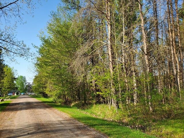 0 2nd Street Lupton, MI 48635 - Photo 4 of 4 1899956-5.JPG