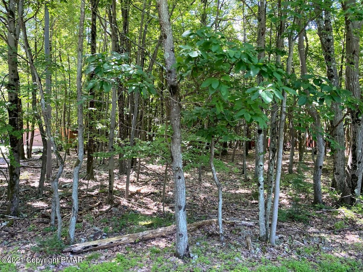 1 Brier Crest Road Blakeslee, PA 18610 - Photo 13 of 22 a view of a forest
