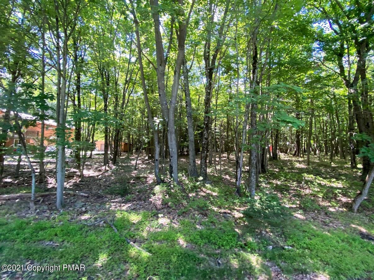 1 Brier Crest Road Blakeslee, PA 18610 - Photo 14 of 22 a view of forest