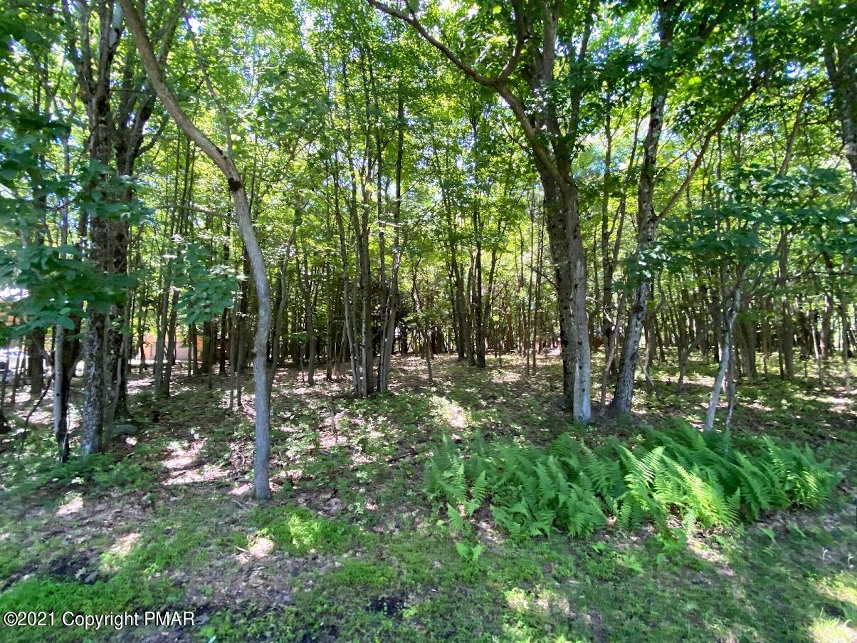1 Brier Crest Road Blakeslee, PA 18610 - Photo 15 of 22 a backyard of a house with lots of green space