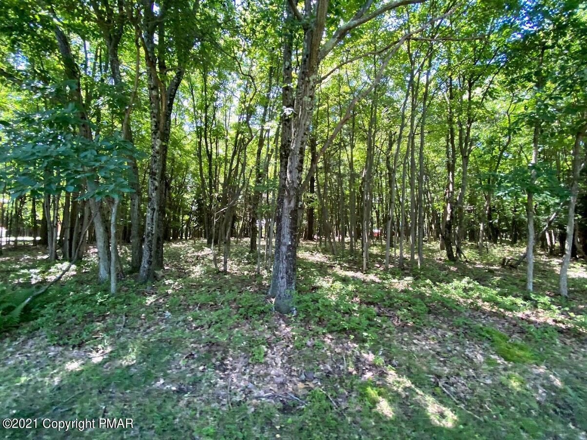 1 Brier Crest Road Blakeslee, PA 18610 - Photo 16 of 22 a big yard with lots of green space and trees