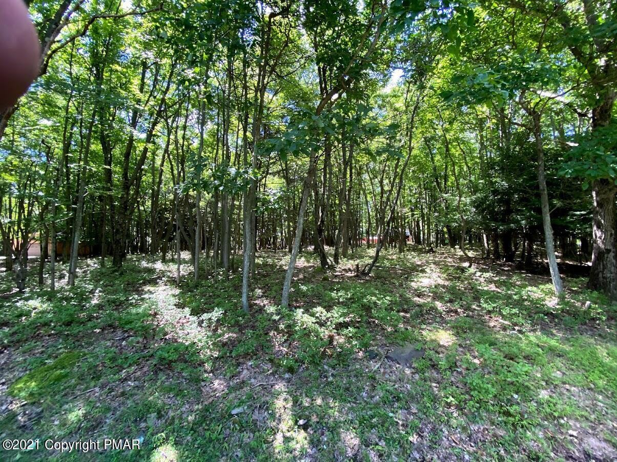 1 Brier Crest Road Blakeslee, PA 18610 - Photo 19 of 22 a view of outdoor space and green space
