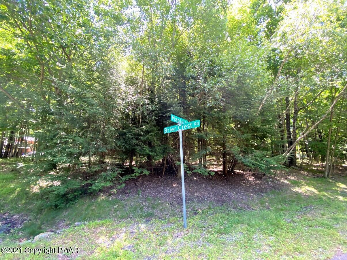 1 Brier Crest Road Blakeslee, PA 18610 - Photo 21 of 22 a backyard of a house with table and chairs