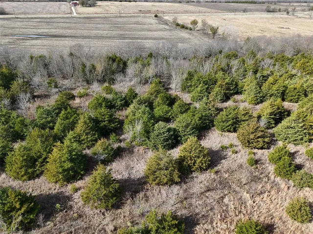 a view of a yard with wooden fence