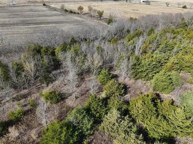 a view of a lush green space with sea