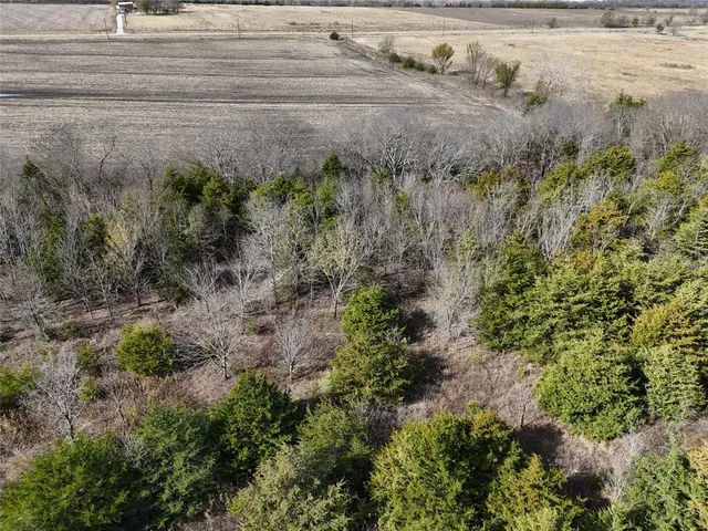 a view of a yard of a house