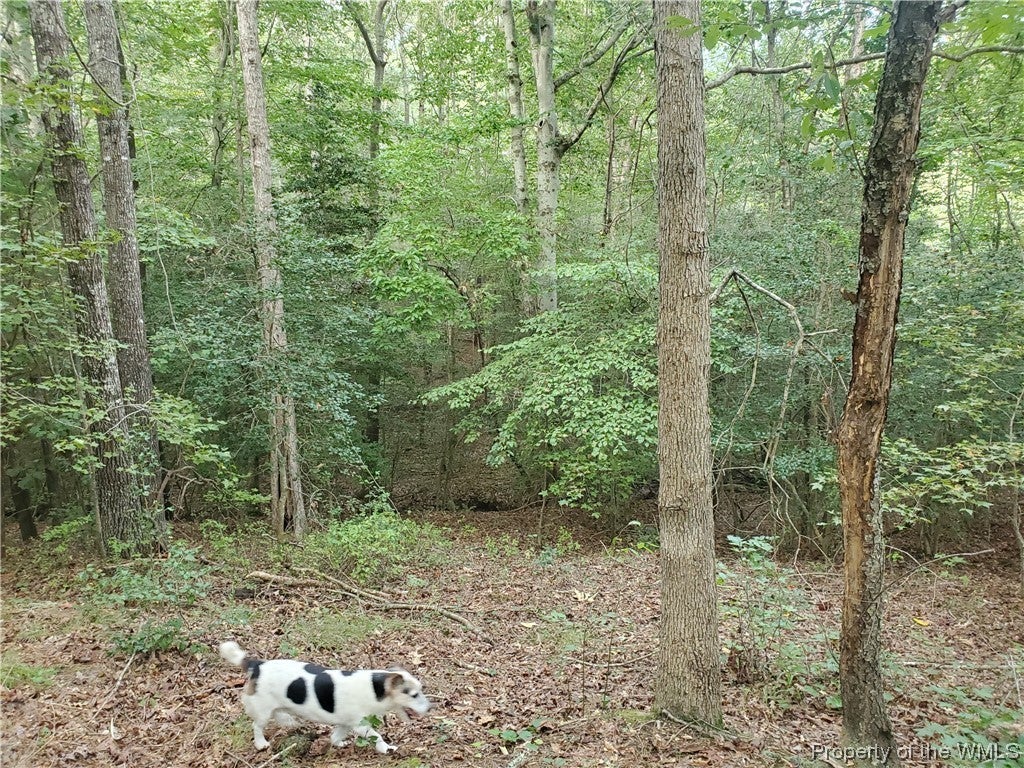 0 Wilkes Road Lanexa, VA 23089 - Photo 15 of 24 Gallery Image 15