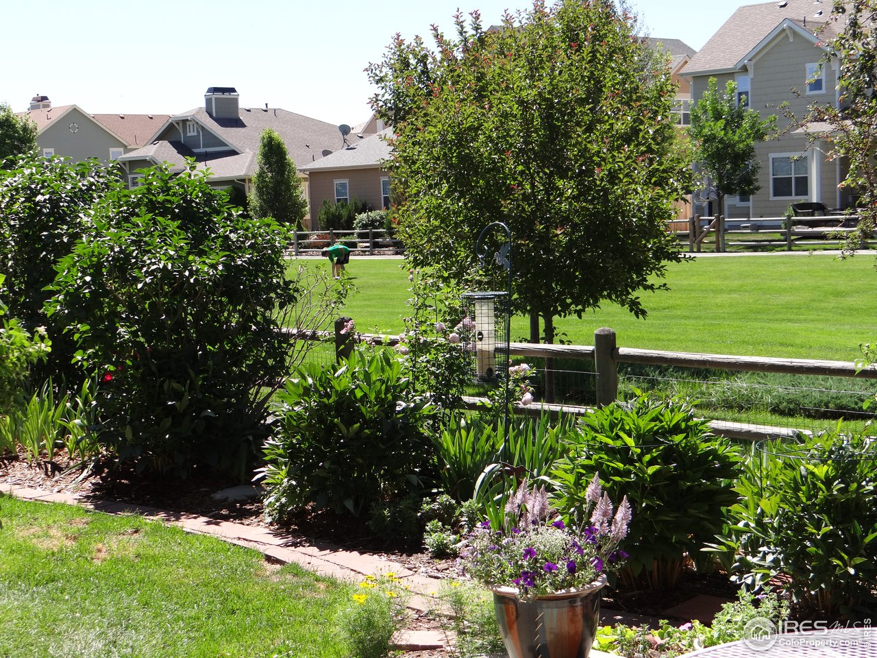 4205 Riley Drive Longmont, CO 80503 - Photo 30 of 30 Gallery Image 30