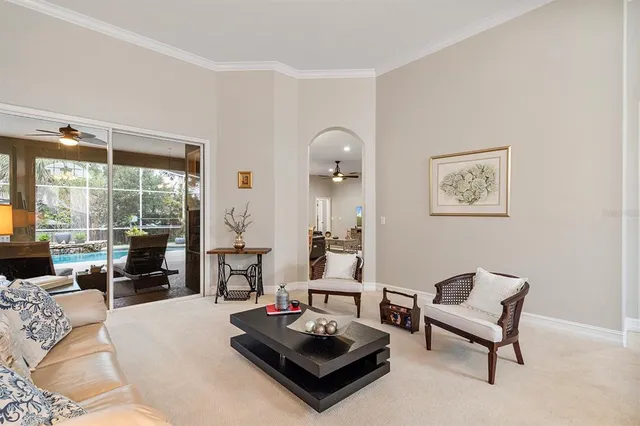 a living room with furniture potted plant and a large window
