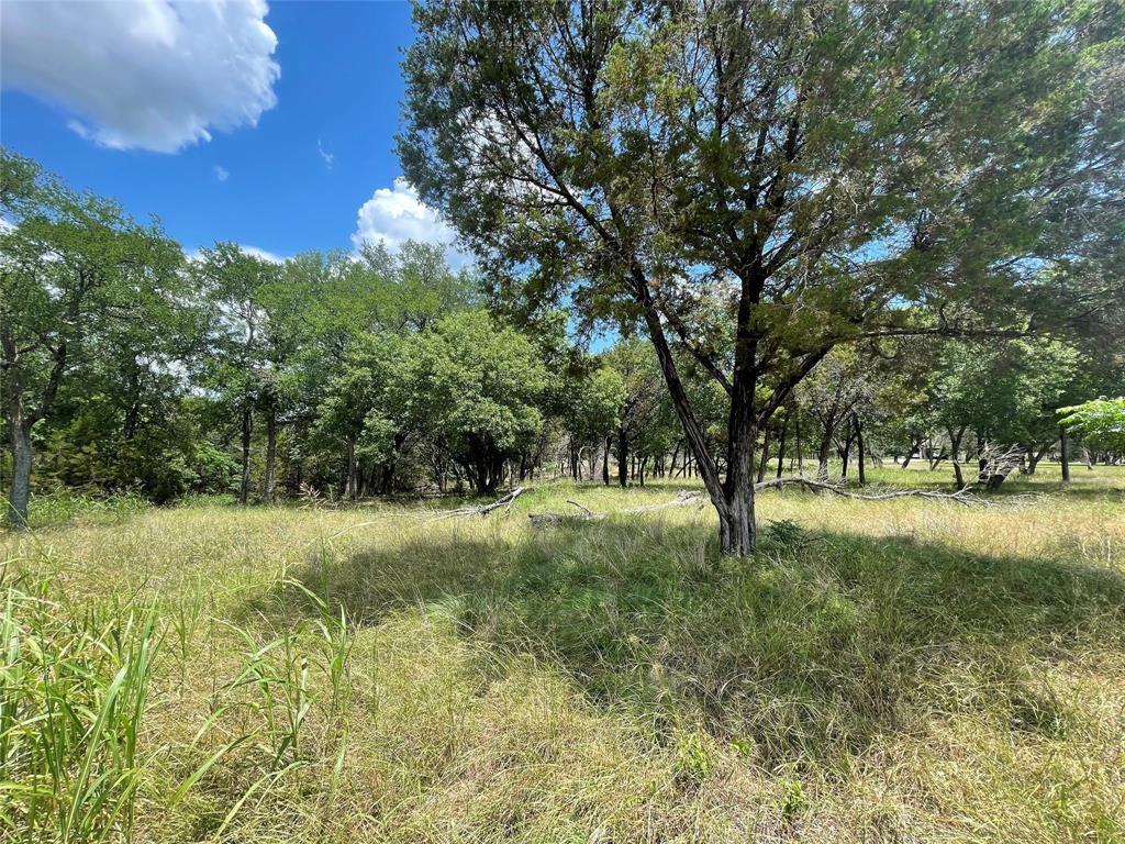 2000 Austin Hines Drive China Spring, TX 76633 - Photo 4 of 16