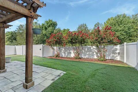 a view of a back yard