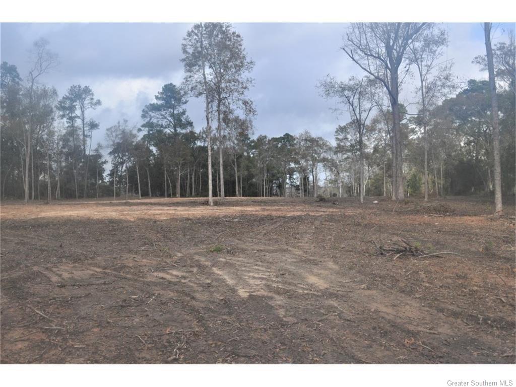 0 Fitzenreiter Road Lake Charles, LA 70601 - Photo 4 of 12