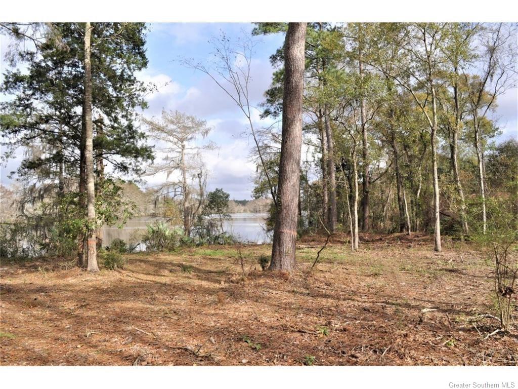 0 Fitzenreiter Road Lake Charles, LA 70601 - Photo 6 of 12