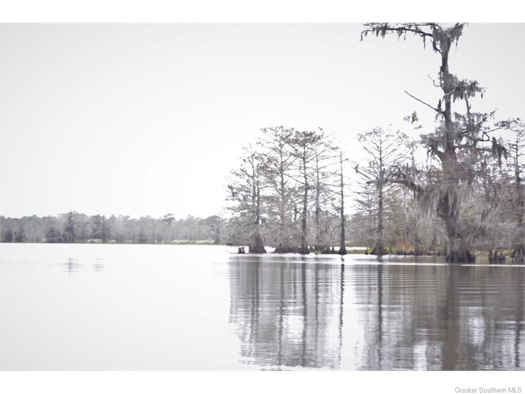 0 Fitzenreiter Road Lake Charles, LA 70601 - Photo 10 of 12