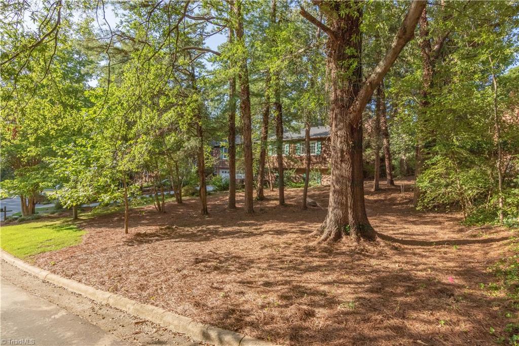706 Ragsdale Road Jamestown, NC 27282 - Photo 2 of 26