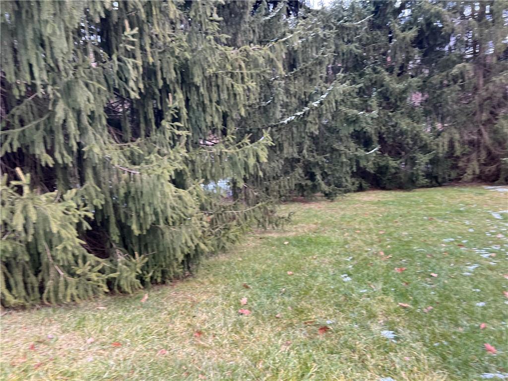 263 Whitestown Road Butler, PA 16001 - Photo 4 of 44 a view of a yard with a tree
