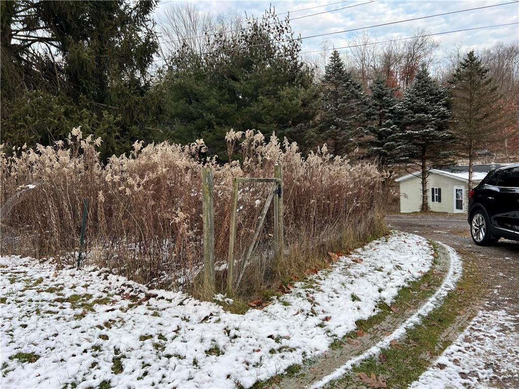 263 Whitestown Road Butler, PA 16001 - Photo 5 of 44 a view of a backyard of a house