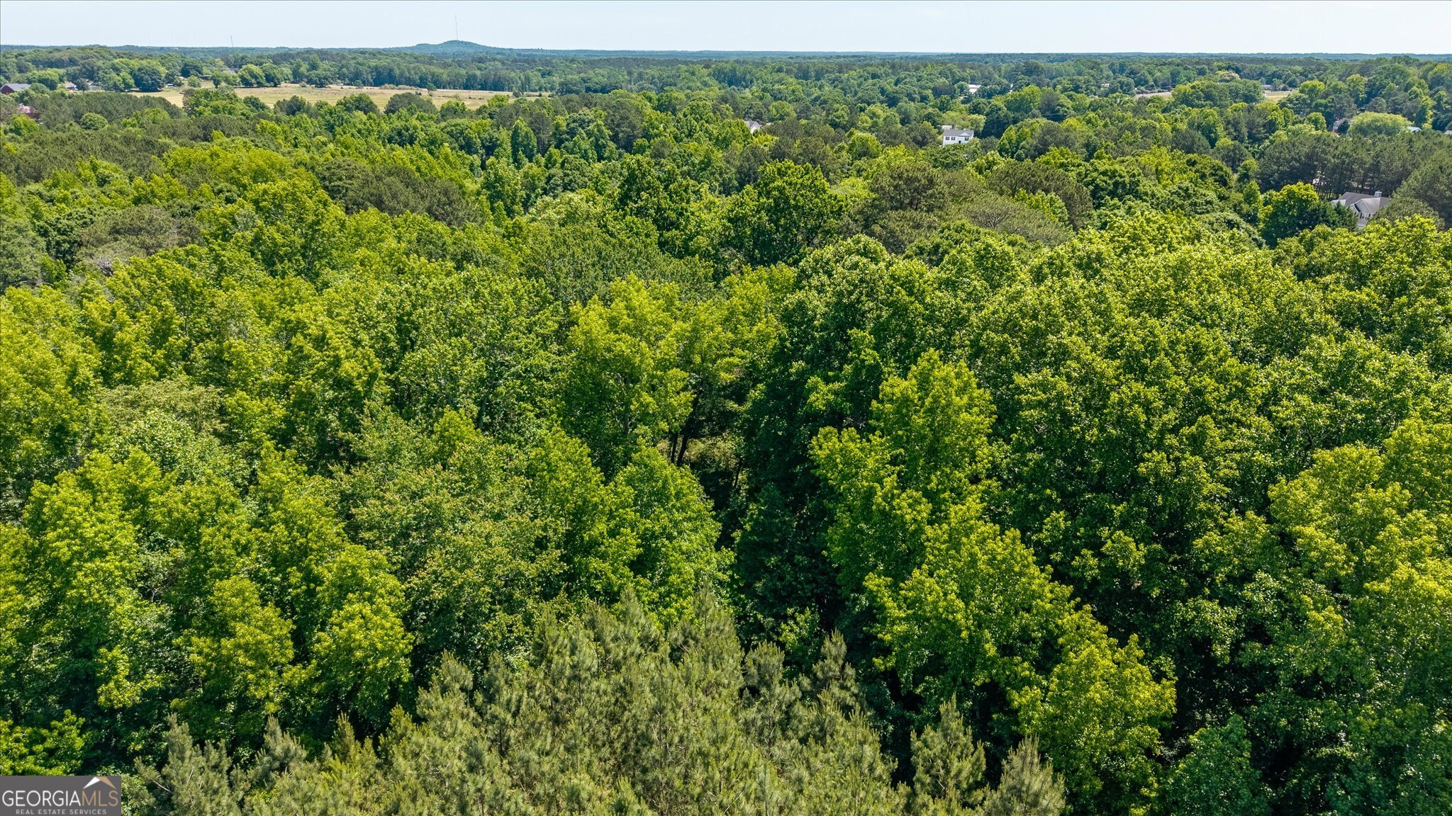 0 Gene Bell Road Northeast Monroe, GA 30655 - Photo 19 of 27